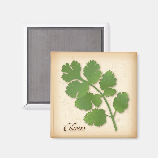Cilantro Herb Magnet (Vorderseite/Rückseite)
