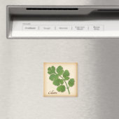 Cilantro Herb Magnet (In Situ (Geschirrspüler))