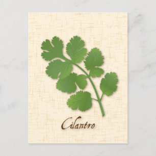 Cilantro Herb Postcard anpassen Postkarte