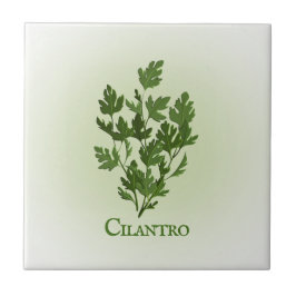 Cilantro Herbal Design Keramik Tile Fliese