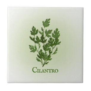 Cilantro Herbal Design Keramik Tile Fliese
