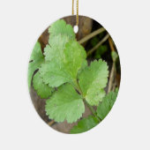 Cilantro Keramik Ornament (Rechts)