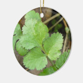 Cilantro Keramik Ornament (Links)