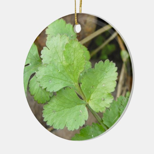 Cilantro Keramik Ornament (Links)