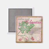 Cilantro Magnet (Vorderseite/Rückseite)