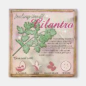 Cilantro Magnet (Vorne)