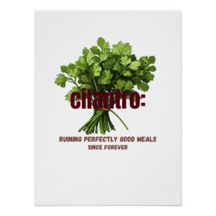 Cilantro - perfekt gute Mahlzeiten verderben Poster