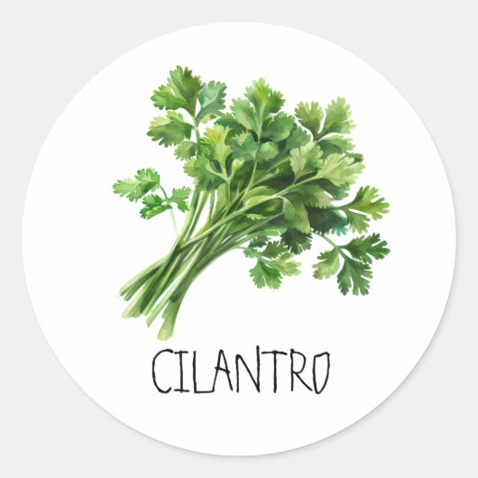 Cilantro Runder Aufkleber (Vorderseite)