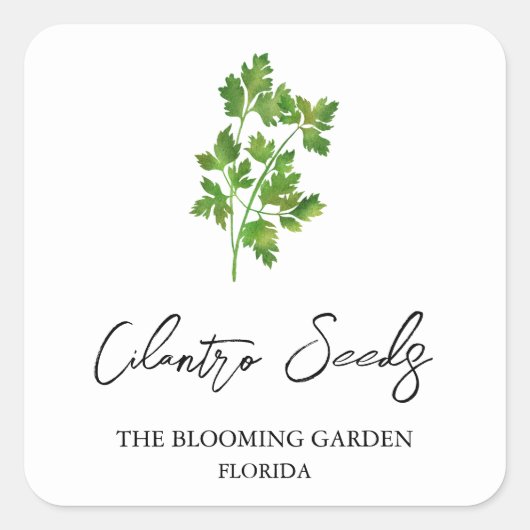 Cilantro Seeds-Label Quadratischer Aufkleber (Vorderseite)