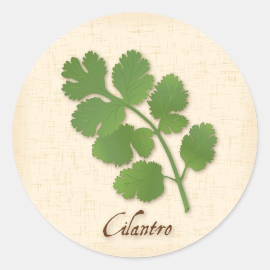Cilantro Sticker (Vorderseite)