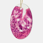 Ciliated Epithel unter dem Mikroskop Keramikornament (Links)