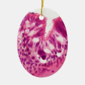 Ciliated Epithel unter dem Mikroskop Keramikornament (Vorne)