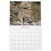 Cinbuds Goldkalender Kalender (Mär 2027)