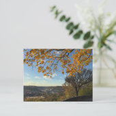 Cincinnati Park View Postcard Postkarte (Stehend Vorderseite)