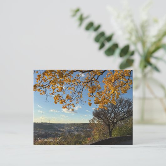 Cincinnati Park View Postcard Postkarte (Stehend Vorderseite)