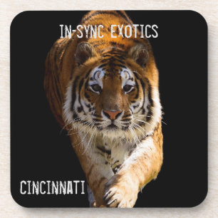 Cincinnati Tiger - Getränkeuntersetzer