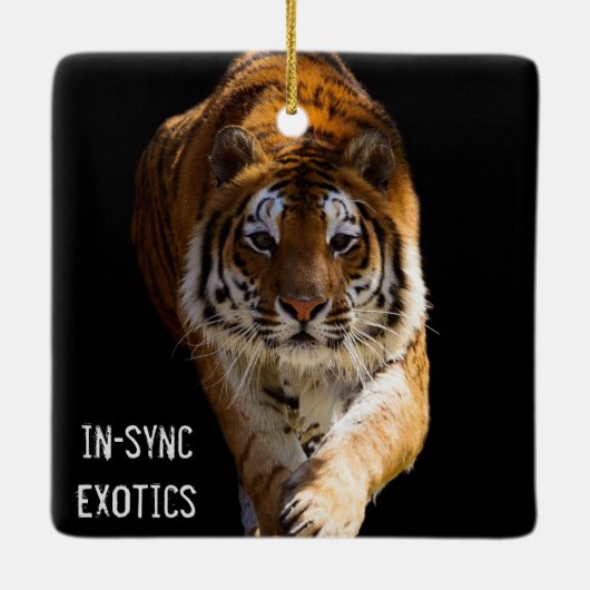 Cincinnati Tiger - Keramikornament (Rückseite)