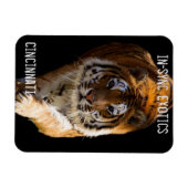 Cincinnati Tiger - Magnet (Horizontal)