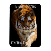 Cincinnati Tiger - Magnet (Vertikal)