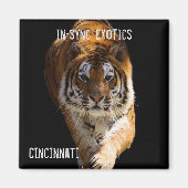 Cincinnati Tiger - Magnet (Vorne)