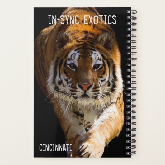 Cincinnati Tiger - Planer (Rückseite)