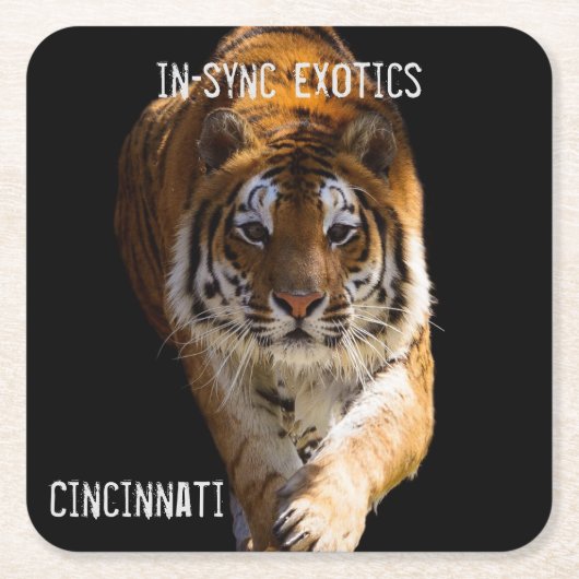 Cincinnati Tiger - Rechteckiger Pappuntersetzer (Vorderseite)