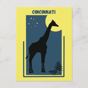 Cincinnati Zoo Ohio Vintage Giraffe Postkarte