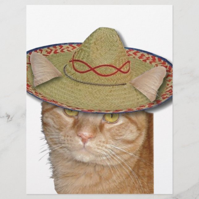 Cinco de Gato (Vorderseite)