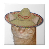 Cinco de Gato Fliese (Vorderseite)