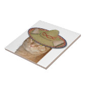 Cinco de Gato Fliese (Seite)