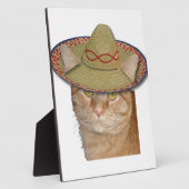 Cinco de Gato Fotoplatte (Seite)