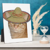 Cinco de Gato Fotoplatte (Seite)