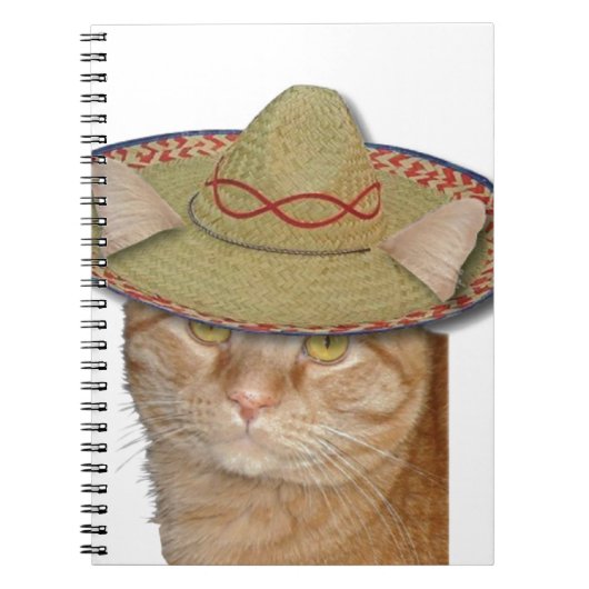 Cinco de Gato Notizblock (Vorderseite)