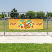 Cinco De Mayo Banner (Insitu)