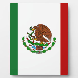 Cinco de Mayo Flag Mexiko Fotoplatte