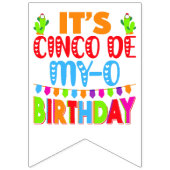cinco de mayo Geburtstag lustiger pub Wimpelkette (Zweite Fahne)