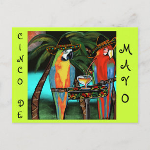 CINCO DE MAYO PAPAGEIEN POSTKARTE