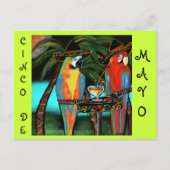 CINCO DE MAYO PARROTS POSTKARTE (Vorderseite)