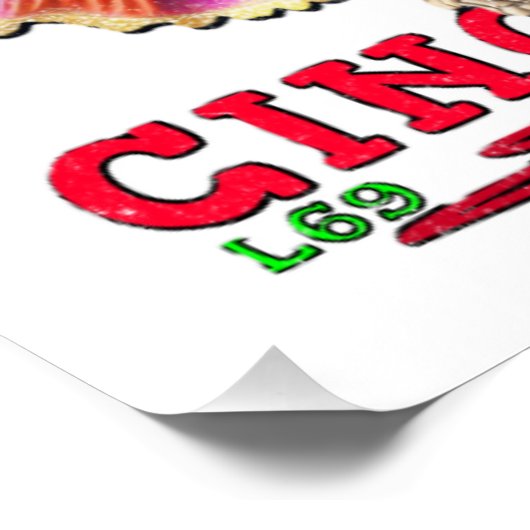 CINCO DE MAYO POSTER (Ecke)