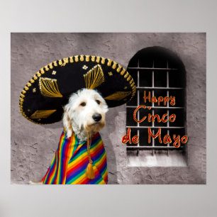 Cinco de Mayo Poster - Hund in Sombrero - Spaß