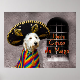 Cinco de Mayo Poster - Hund in Sombrero - Spaß