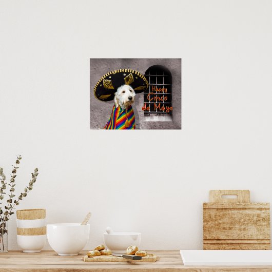 Cinco de Mayo Poster - Hund in Sombrero - Spaß (Küche)