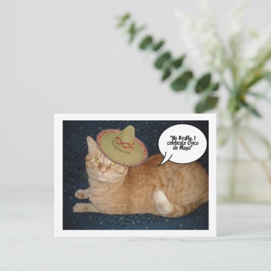 Cinco de Mayo Postkarte (Stehend Vorderseite)
