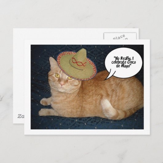 Cinco de Mayo Postkarte (Vorne/Hinten)