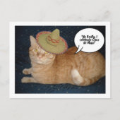 Cinco de Mayo Postkarte (Vorderseite)