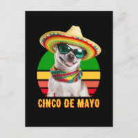 Cinco de Mayo Sombrero Chihuahua mit Sonnenbrille