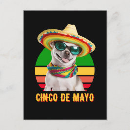 Cinco de Mayo Sombrero Chihuahua mit Sonnenbrille Postkarte