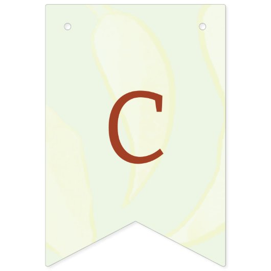 Cinco de Mayo Wimpelkette (Zweite Fahne)