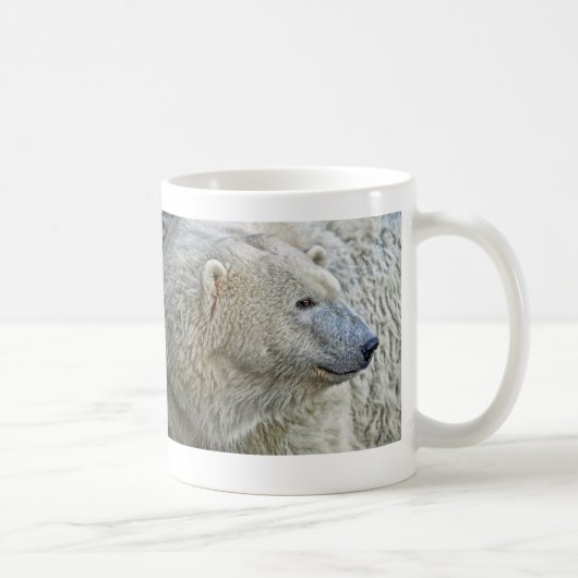 Cincy Zoo-Weihnachtskarten-Tasse Kaffeetasse (Rechts)