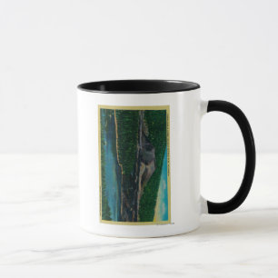 Cinder Cone in Lassen Volcanic National Park Tasse